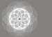 Circles On Circles