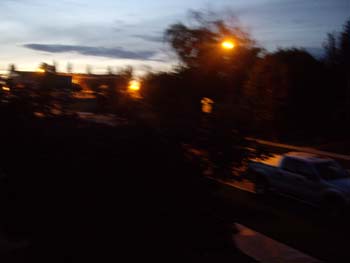 IMGP1061