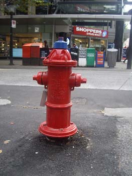 IMGP1163
