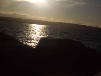 IMGP1202