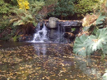IMGP1286